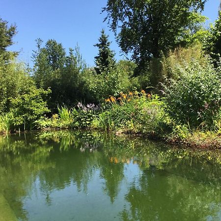 Huisje De Geluksvogel Zorgvlied Exterior foto