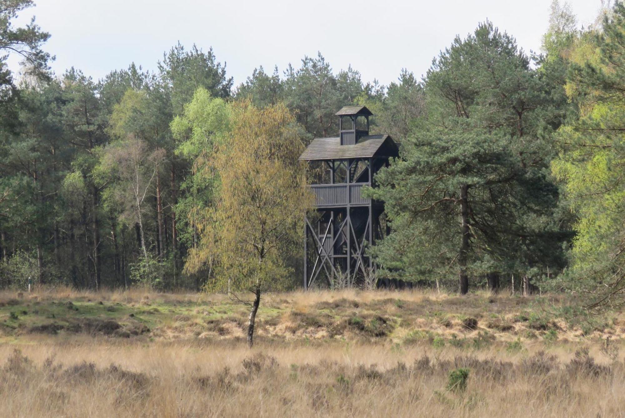 Huisje De Geluksvogel Zorgvlied Exterior foto